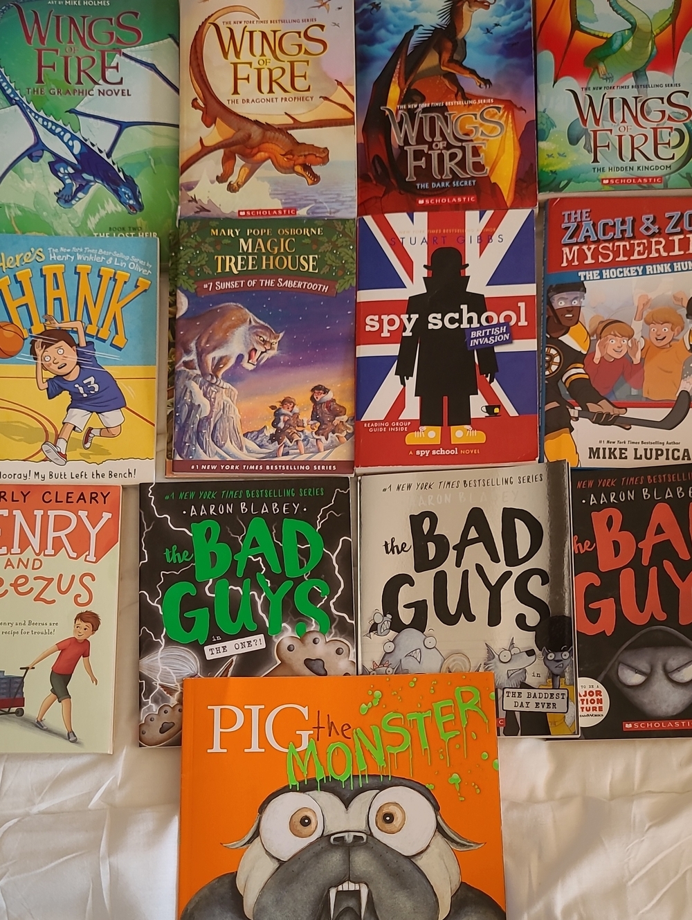 Children's Book Lot - Wings of Fire, The Bad Guys, Magic Tree House